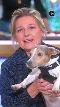 Monday, Oli's four-legged companion, isn't just cute, he's a little genius 🐾