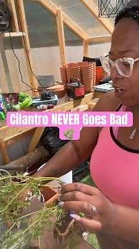 This Is How I Keep Cilantro Fresh For MONTHS 👀