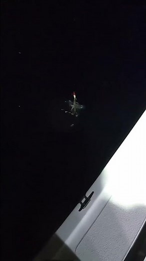 Fishing for Arrow Squid