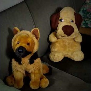 The Chosen One | Stuffy and Friends Shorts