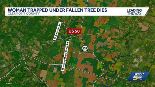 Police: Woman killed after tree falls onto home in Clermont County