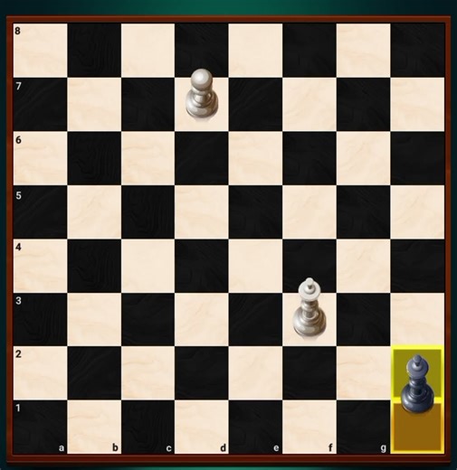 human vs computer ♟️