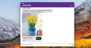 Hands-on with Business Chat for iMessage in iOS 11.3 and macOS 10.13.4 - 9to5Mac