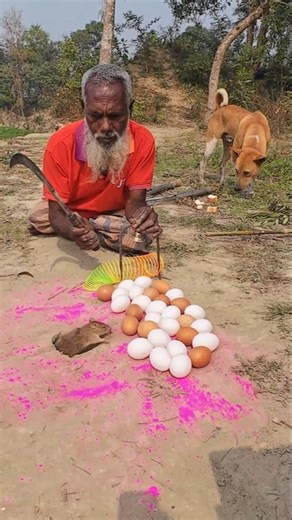 Village Farmer Rat Hunting Skills 12 #rattrap #rathunter #villagelife #agriculture