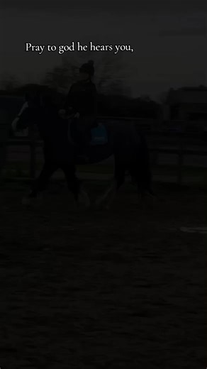 Hope for Lasting Change in Equestrian Life