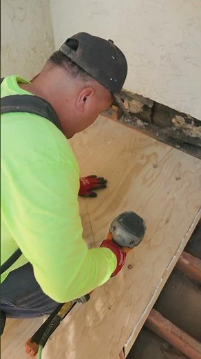 🐜 Termite Damage Repair – Done the Right Way