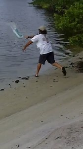 🌊🎯 Precision Unleashed: Captain Jeff's Masterful Mullet Netting in Action! 🎣✨ Prepare to be amazed in this Facebook Reels video as we showcase the sheer accuracy and finesse it takes for Captain Jeff to net a single mullet. Every flick, every movement, a symphony of precision as the net gracefully glides through the water. 🐟 Dance of the Mullet: Join us on the docks as Captain Jeff takes on the challenge of netting mullet, one at a time. The dance between angler and baitfish unfolds with cap