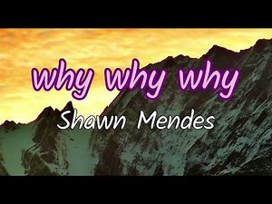 Shawn Mendes - Why Why Why (Lyrics video)