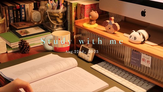 Study with me｜50mins实时陪伴学习｜雨天白噪音｜沉浸式陪伴学习｜动力向｜治愈系｜氛围感学习｜自律独处时刻｜原倍速study vlog