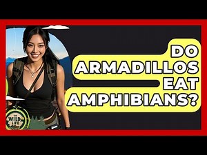 Do Armadillos Eat Amphibians? - The Wild Life Explorer