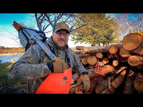 Newfoundland Spring Chores: Cutting Firewood for Next Winter & Saw Maintenance!