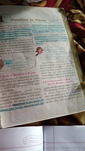 Explain the difference between autotrophs and heterotrophs in t... | Filo