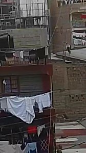 33K views · 204 reactions | hii ni movie gani藍藍GenZs wako na mambo | ŨGĨ Media | Facebook