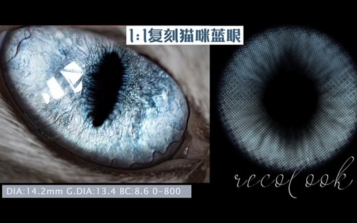 【小珈美瞳试戴】首款竖瞳美瞳踩雷or种草？1:1复刻猫咪蓝眼/B站首测/含转动效果 ✧recolook 安哥拉蓝✧