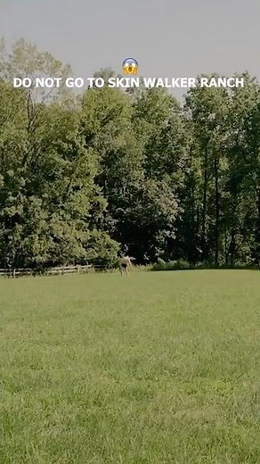TERRIFYING SKINWALKER ENCOUNTER ON CAMERA #scary #paranormal #creepy #skinwalker