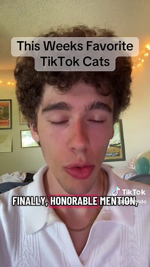 This Week's Favorite TikTok Cats | Cute Kittens Compilation