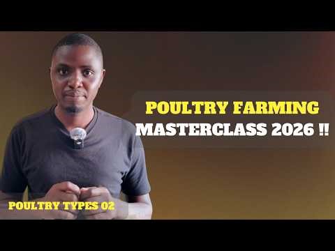 Poultry Types Explained: (Free Poultry Masterclass 2026)