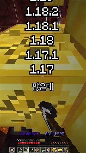 스피드런을 1.16.1로 플레이하는 이유