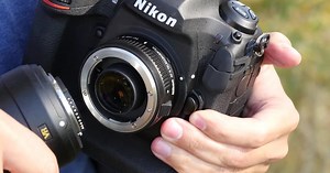 Teleconverter vs Crop Sensor: Why a Teleconverter is a Bad Decision