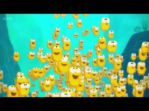 Despicable Me and Minions Title Cards (2010-2022) (BBC Version)