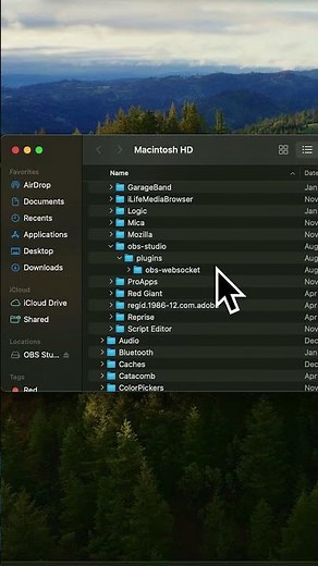 Remove OBS Plugins | On MAC
