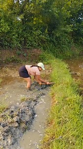 203K views · 2.9K reactions | Khet Mein Kaam Kr rahi Hun Jor Sor Se | Pitil | Facebook