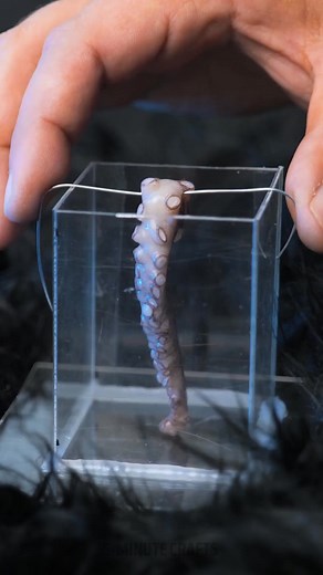 138K views · 186 reactions | We made an octopus tentacle mono-earring!  #diyjewelry | 5-Minute Crafts Family | Facebook