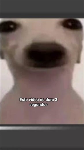 este vídeo no dura 3 segundos 😈