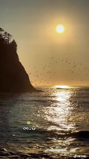 Le DUA - Lyrics Video Paroles en Français | Dadju