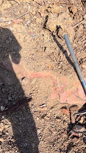 Check out this massive jasper agate bolder in central Oregon #rockhound #agate #pnw #fyp #viral #treasure #foryou #explore | Nathan Dally