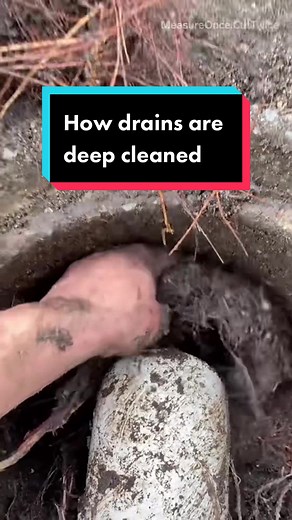 Deep Drain Cleaning: Expert Tips & Techniques