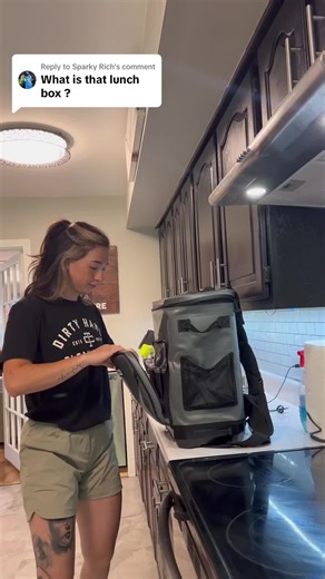Klein Tools Backpack Cooler Review by Electrician | Lex the Electrician