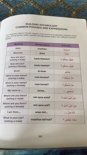 Learn Arabic on TikTok