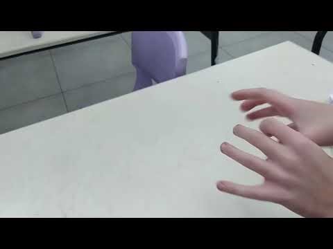 אלבום 2| חיה קטנה בשיר| אקסולוטל 🦎