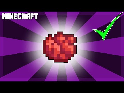 MINECRAFT | How to Make RED DYE! 1.16.4