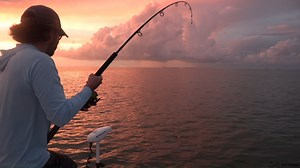 12K views · 158 reactions | It's tarpon time!! Check out these tips on how to fight them! For more awesome saltwater fishing tips go to https://www.saltstrong.com/fishing-tips/ | Salt Strong | Facebook