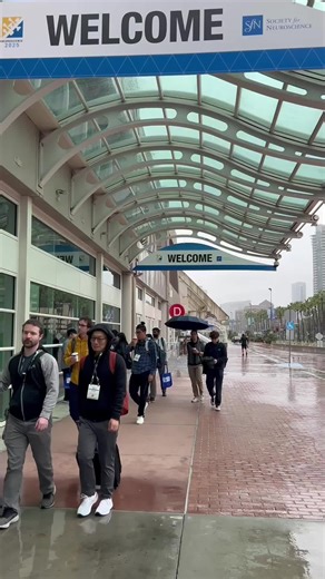 Society for Neuroscience (SfN) | The wait is over! ㅤ Welcome to #SfN25 where science, innovation, and community come together. ㅤ #neuroscience #conference | Instagram
