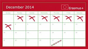 39 reactions · 11 shares | Erasmus+ is not only for university students, support and funds exist for youth workers, teachers, volunteers and people undergoing training also. This time around no-one's left out, open day 7 of our Erasmus+ advent calendar to find out more… | Erasmus+ | Facebook