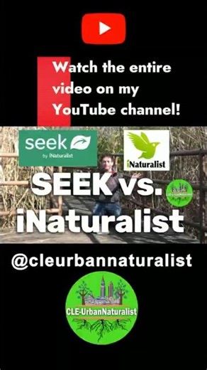 iNaturalist vs. Seek