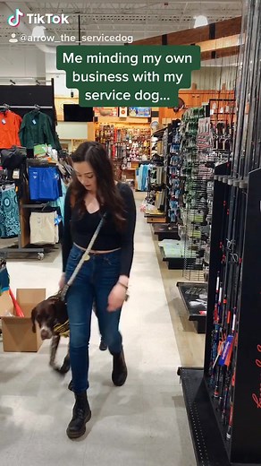 Day in the life of having a German Shorthaired Pointer service dog! #servicedog #germanshorthairedpointer #birddog #redneck #pointer #gsp