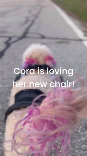 Loving these spring time evening walks with the fam! | Zach Skow