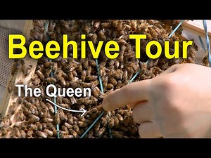 Beehive Tour – Family Plot