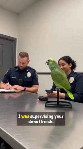 34K views · 1.1K reactions | Parrot Vs Cop Ultimate Mod #parrotvscop #viralshorts #ComedyCompilation #LaughTillYouCry #talkingparrot #parrotroast | Crastic Point | Facebook
