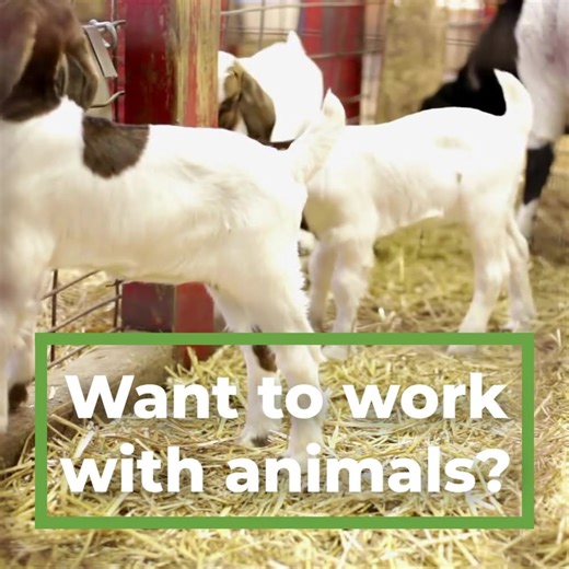 Earn Your Animal Health or Animal Science Degree 100% Online And Enjoy What You Do! | Unity Environmental University