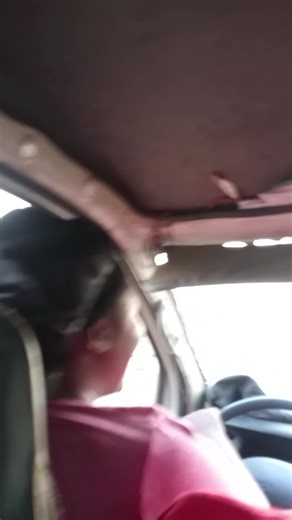 Celebrating My Work and Pride: A Humorous Take