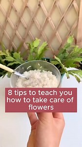 Effective flower care tips #backyardgardening #gardeningisfun #urbangardening #veggiegarden #vegetablegarden | Gardening Tips