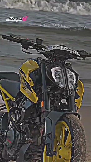 👉Tere per Mar 💭Java new video 📸 like and subscribe 🍁