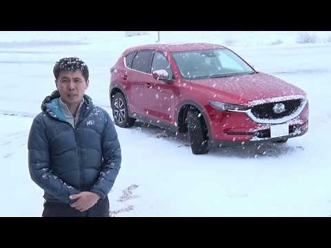 DUNLOP WINTER MAXX 02 All-Stage Impressions