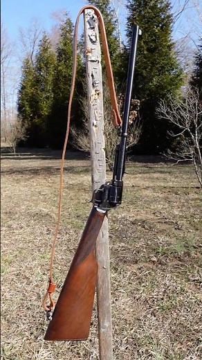 Heritage Rough Rider Rancher 22 Carbine