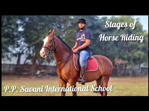 Stages of Horse Riding Demonstrated by PP Savani Horse Riding School Surat